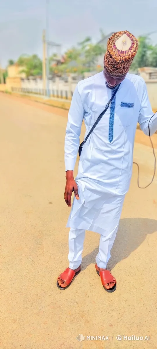 Traditional Outfit Wearer Demonstrates Kung Fu and Boxing Skills on Street – AI Generated Video | Hailuo AI