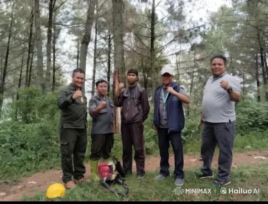 Five Men Demonstrate Kung Fu Skills in Live2D Forest Setting – AI Generated Video | Hailuo AI
