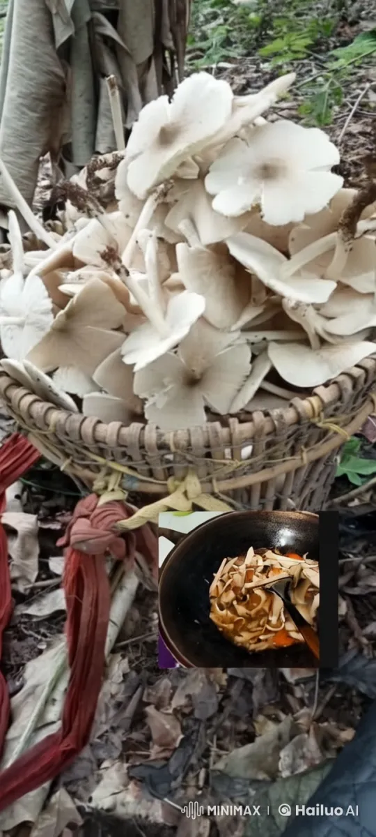 Mushrooms Transform into Snakes in Enchanted Forest Setting – AI Generated Video | Hailuo AI