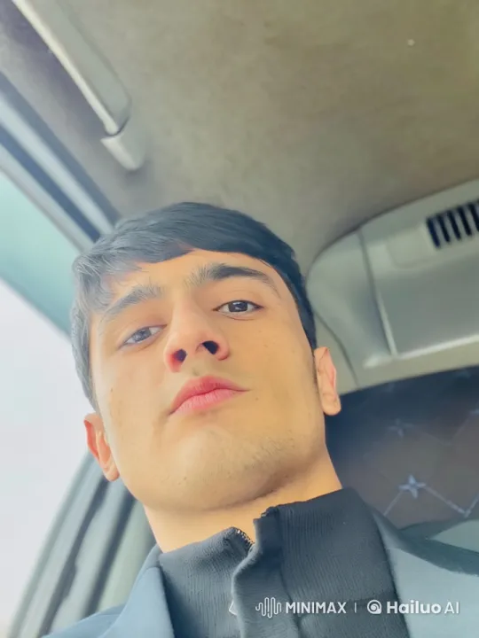 Live2D Render: Person in Lamborghini with Elegant Interior – AI Generated Video | Hailuo AI