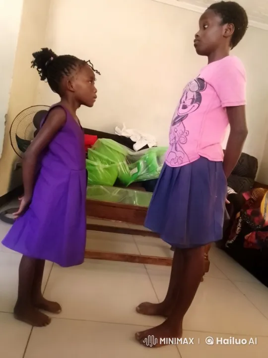 Live2D Animation: Girls' Playful Kung Fu Fight – AI Generated Video | Hailuo AI
