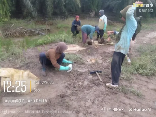 Kungfu Showdown in a Tranquil Farm Setting – AI Generated Video | Hailuo AI