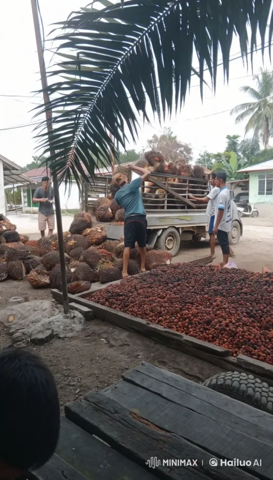 Outdoor Fruit Market Transforms into Kung Fu Arena – AI Generated Video | Hailuo AI
