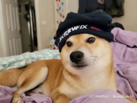 Cheerful Dog Sings "APT" Song on Bed with Gentle Movements – AI Generated Video | Hailuo AI