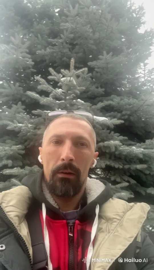 Animated Boy and Bird Celebrate Christmas with Sparkling Tree – AI Generated Video | Hailuo AI