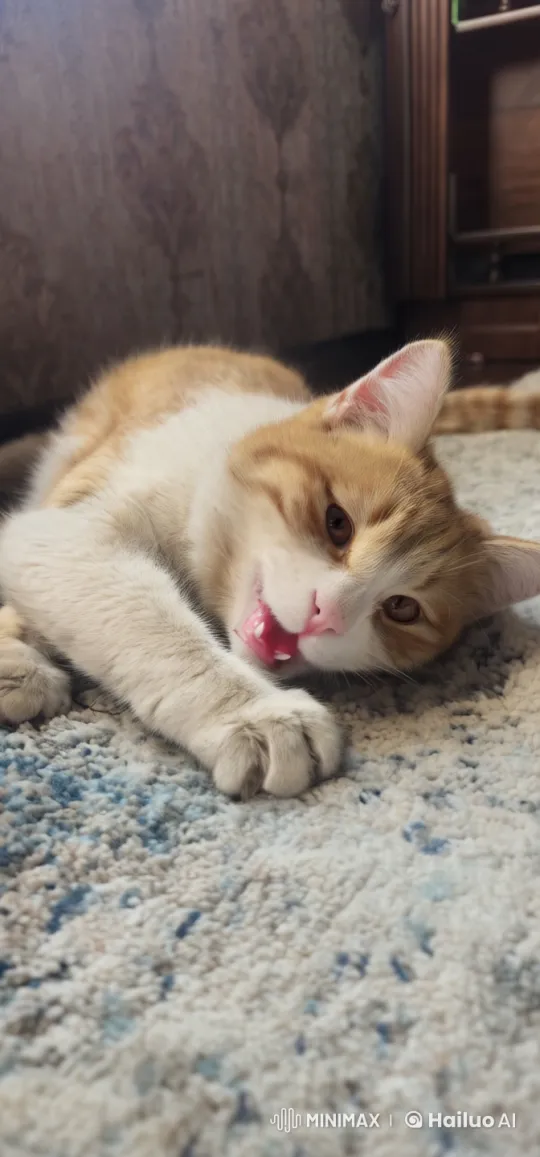 Cute Cat Transforms into Majestic Lion, Roars – AI Generated Video | Hailuo AI