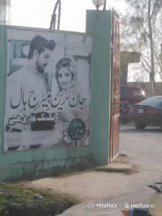 Pakistani Wedding Animation on Outdoor Advertisement – AI Generated Video | Hailuo AI