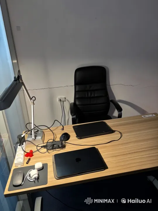 Pet Organizes Modern Office Desk in Live2D Animation – AI Generated Video | Hailuo AI