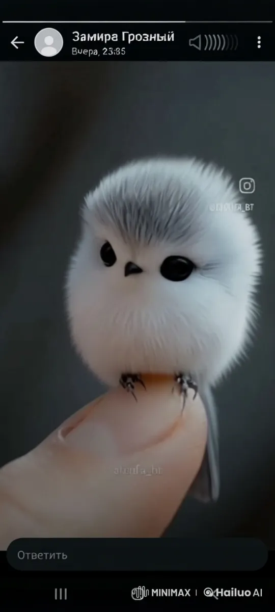 Adorable Bird Sings and Flies Gracefully on Finger – AI Generated Video | Hailuo AI