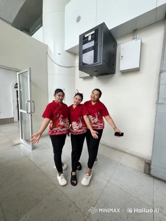 Traditional Chinese Kung Fu Performance in Live2D Animation – AI Generated Video | Hailuo AI