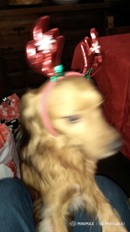 Dog Communicating Unexpectedly – AI Generated Video | Hailuo AI