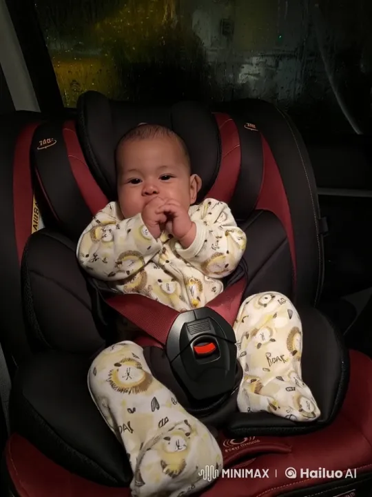 Baby Kung Fu in Lion Onesie: Animated Car Seat Battle – AI Generated Video | Hailuo AI