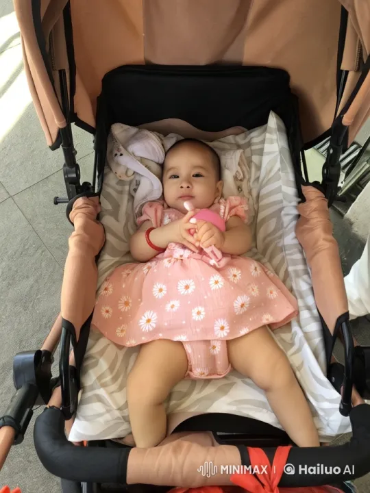 Baby in Pink Dress Dances in Stroller (Live2D Animation) – AI Generated Video | Hailuo AI