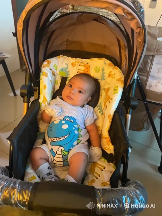 Baby Kungfu Master in Animal-Themed Cushioned Stroller – AI Generated Video | Hailuo AI