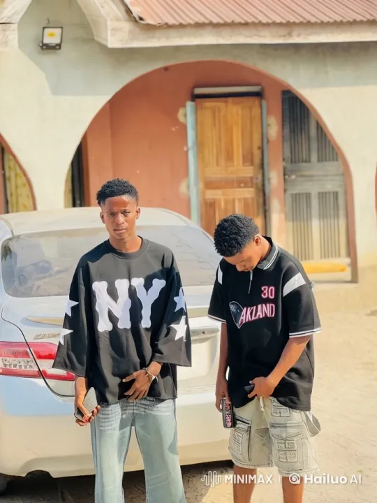 Two Men Pose in Front of Car at Arched Building – AI Generated Video | Hailuo AI