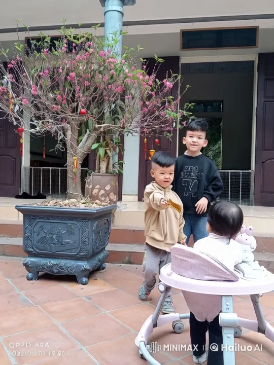 Children's Kungfu Routine in Courtyard Setting – AI Generated Video | Hailuo AI