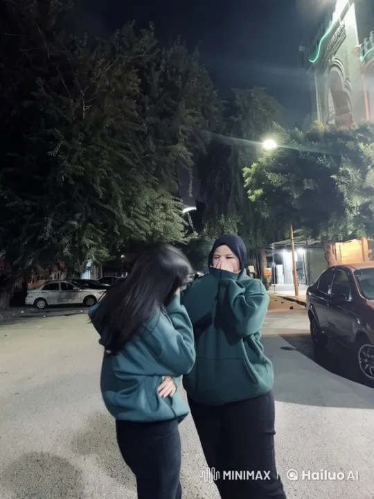 Nighttime Friendship Scene in Animated Live2D Style – AI Generated Video | Hailuo AI