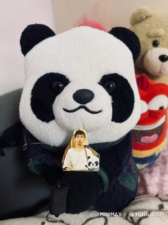 Plush Panda's Animated Dance and Kung Fu Routine – AI Generated Video | Hailuo AI