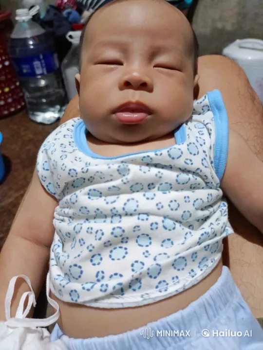 Baby Kungfu Master in Live2D Animation – AI Generated Video | Hailuo AI