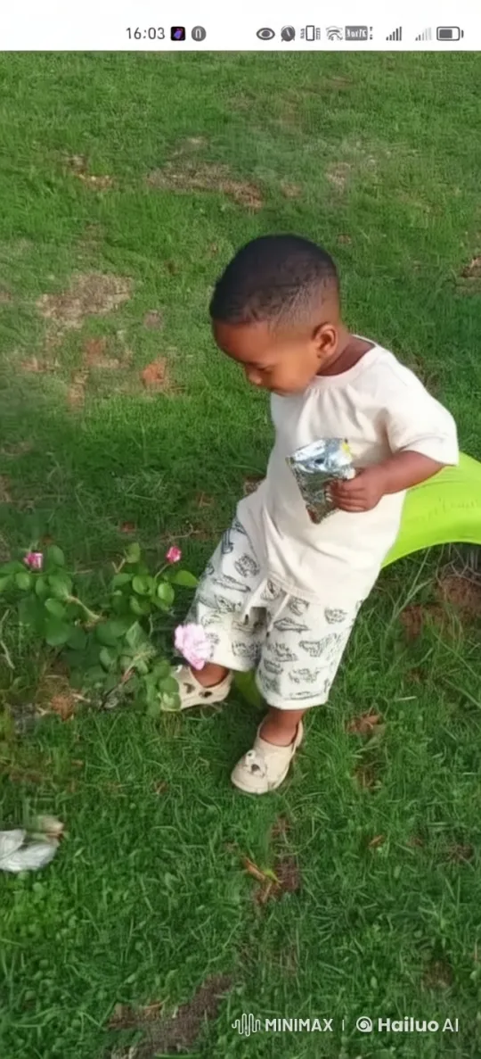 Boy Enacts Kung Fu on Lawn Amidst Flowers – AI Generated Video | Hailuo AI