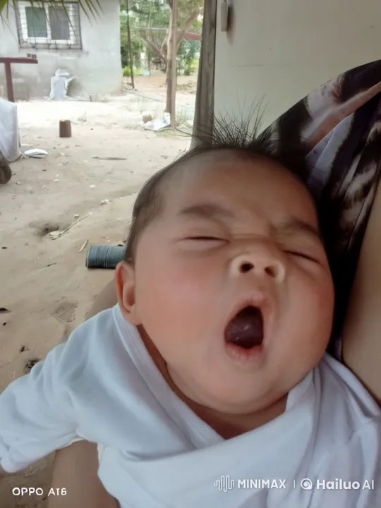 Baby's Playful Kungfu Dance in Live2D Animation – AI Generated Video | Hailuo AI