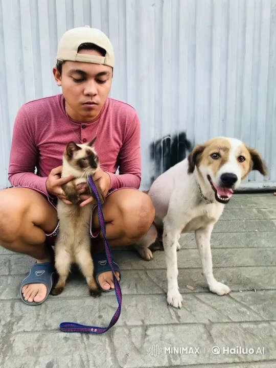 Cat and Dog Dance and Play in Live2D Animation – AI Generated Video | Hailuo AI