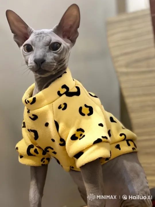 Live2D Animated Sphynx Cat Dancing Delightfully – AI Generated Video | Hailuo AI