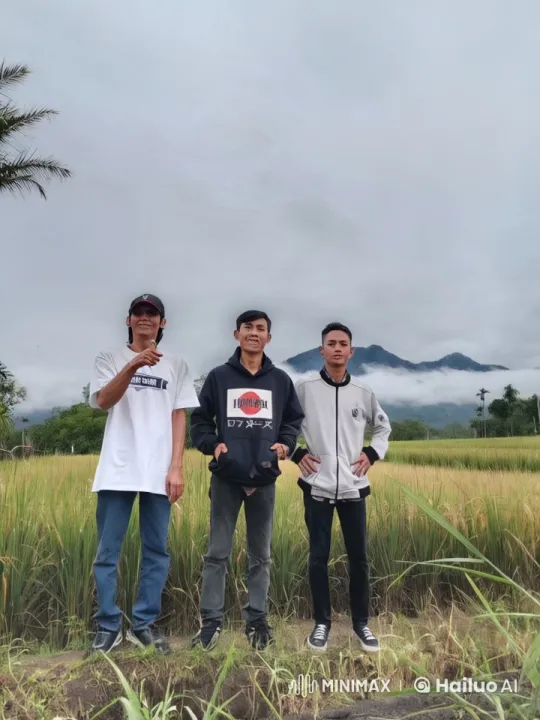 Live2D Animated Kungfu Trio in Rice Field – AI Generated Video | Hailuo AI