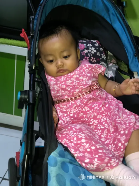 Baby Kung Fu Master in Live2D Stroller Display – AI Generated Video | Hailuo AI