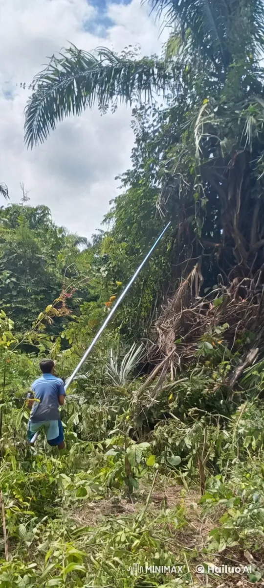 Explosive Disaster Devastates Dense Forest – AI Generated Video | Hailuo AI