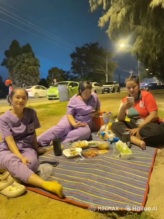 Picnic Blanket: Dance, Punch, and Kungfu Fusion – AI Generated Video | Hailuo AI