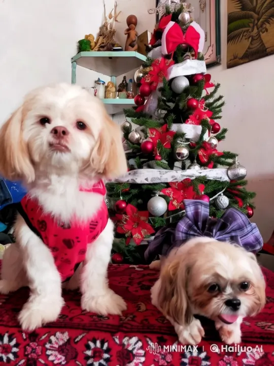 Festive Dogs Dance in Front of Christmas Tree – AI Generated Video | Hailuo AI