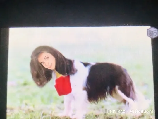 Brown and White Dog with Red Bandana Explores Grass – AI Generated Video | Hailuo AI