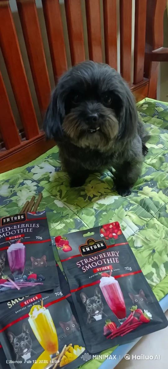 Energetic Black Dog Showcases Playful Moves – AI Generated Video | Hailuo AI