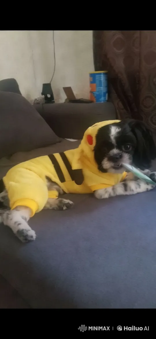 Cute Dog in Pikachu Costume Dances Adorably – AI Generated Video | Hailuo AI
