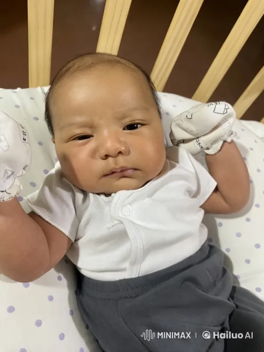 Baby Kung Fu in Live2D Animation – AI Generated Video | Hailuo AI
