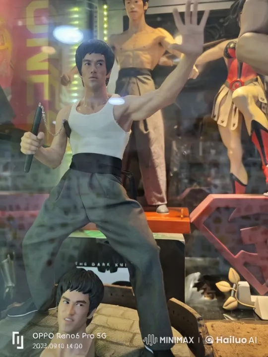Martial Artist Showcases Precision Kungfu in Action Figure Gallery – AI Generated Video | Hailuo AI