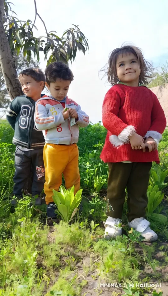 Children Playfully Fighting in Lush Green Field – AI Generated Video | Hailuo AI