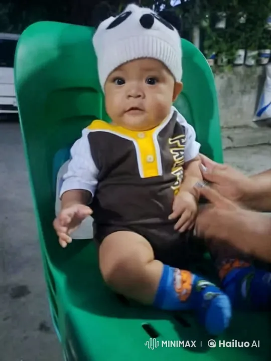 Baby Panda Outfit Enacts Playful Dance and Kungfu Moves – AI Generated Video | Hailuo AI