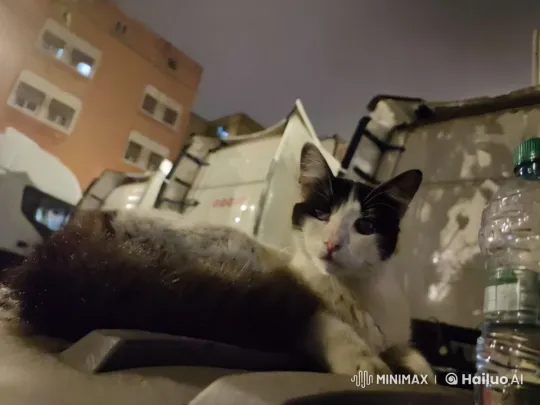 Nighttime Cat Drummer in Urban Setting – AI Generated Video | Hailuo AI