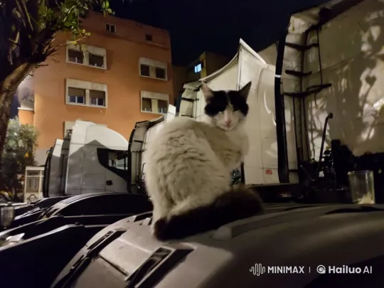 Moroccan Flag-Cat Breakdances on the Moon – AI Generated Video | Hailuo AI