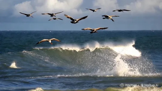 Graceful Sea Birds Over Dynamic Ocean – AI Generated Video | Hailuo AI