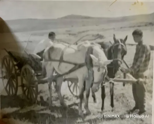 Aesthetic Black-and-White Video of Boy with Horses and Cart – AI Generated Video | Hailuo AI