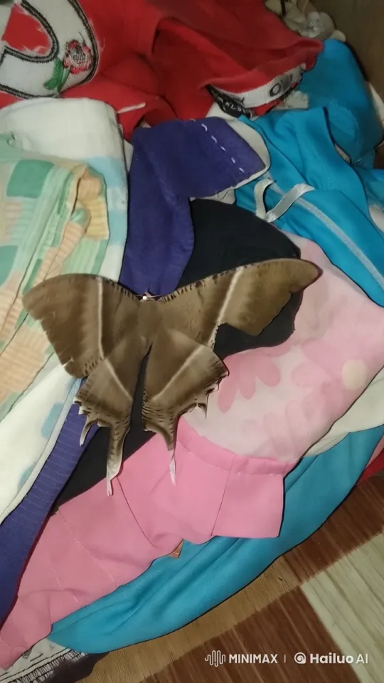 Moth on Vibrant Clothes: Aesthetic Close-Up – AI Generated Video | Hailuo AI
