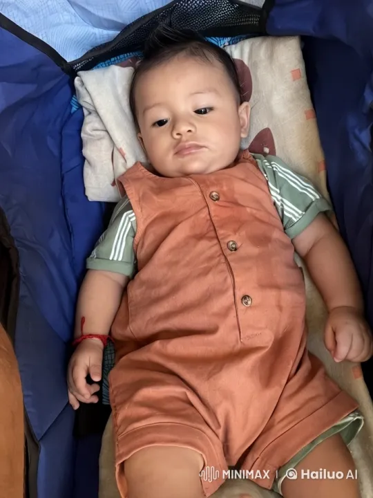 Baby's Playful Kungfu Dance in Stroller – AI Generated Video | Hailuo AI