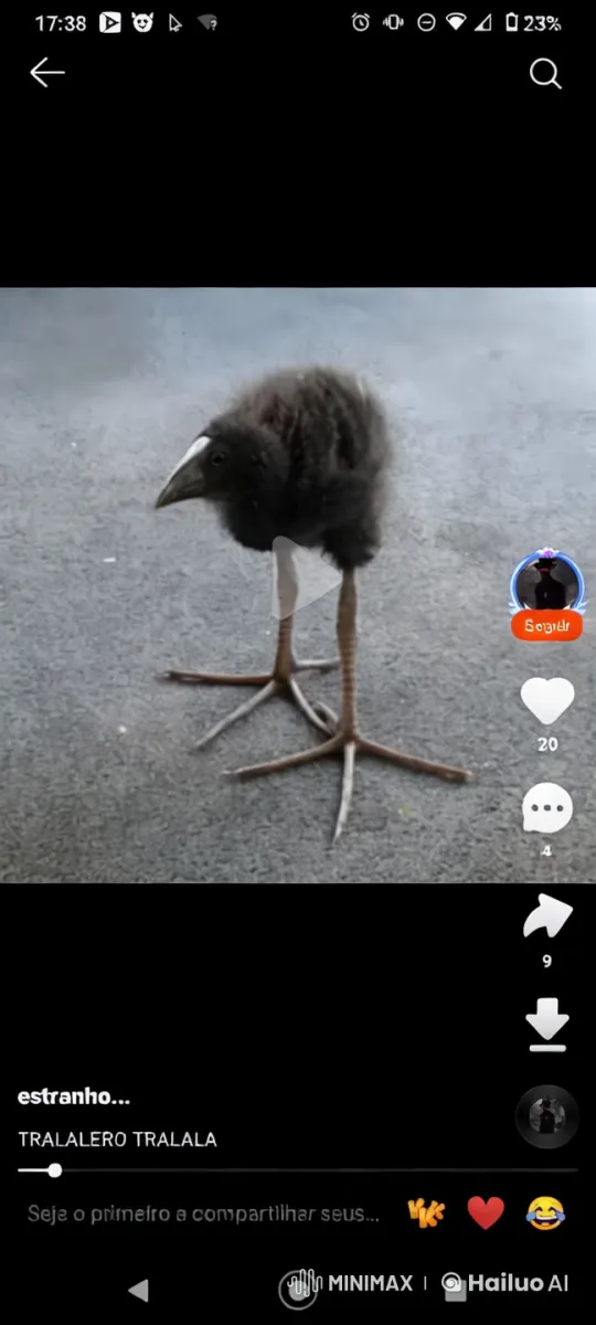 Close-up Study of a Black Bird on Rough Surface – AI Generated Video | Hailuo AI