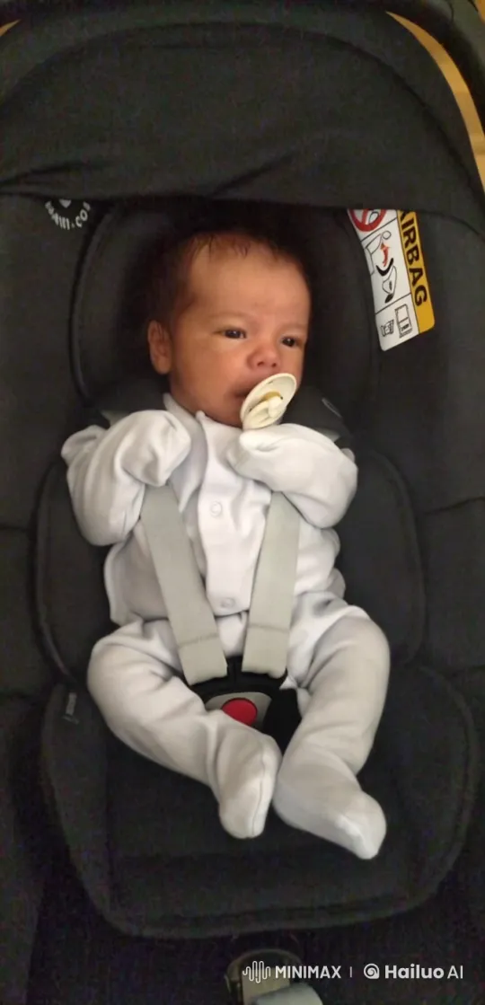 Baby in Car Seat: Safety and Sweetness Highlighted – AI Generated Video | Hailuo AI