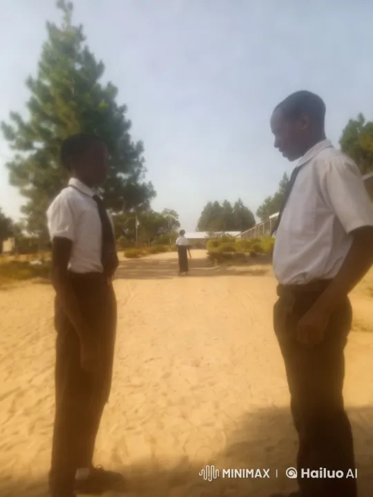 Students Engage in Conversation Amidst Serene Nature – AI Generated Video | Hailuo AI