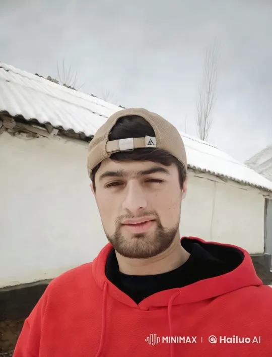 Winter Scene with Person in Red Hoodie – AI Generated Video | Hailuo AI