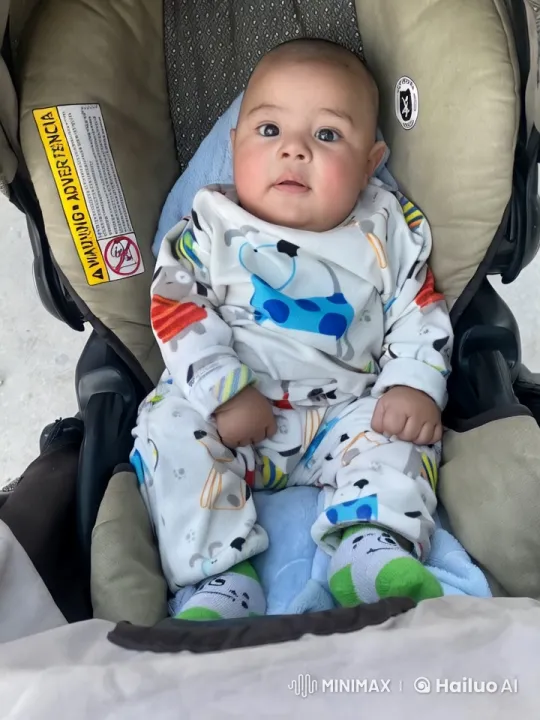 Baby's Playful Kung Fu Dance in Stroller – AI Generated Video | Hailuo AI